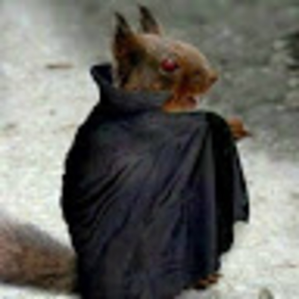 Meet your Posher, Dark nibiru